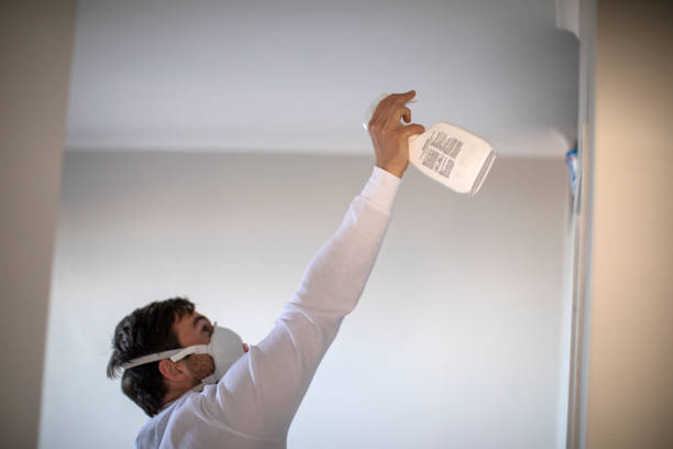 Best Mold Remediation for Specific Building Types in Palm Valley, TX