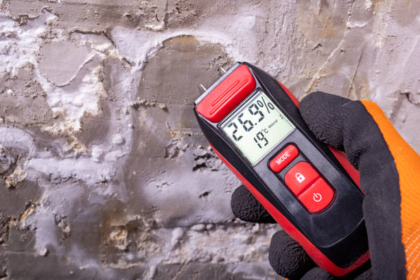 Best Kitchen Mold Remediation in Palm Valley, TX