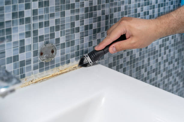 Best Residential Mold Remediation in Palm Valley, TX